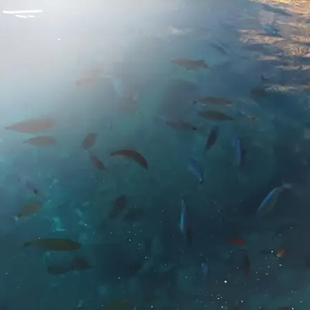 Sea Home, بيت للعطل