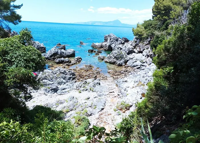 度假居 Sea Home, 普拉亚·阿马勒