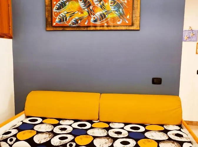 Sea Home, * 普拉亚·阿马勒